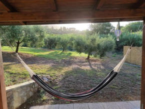 CASA LACONA Lacona